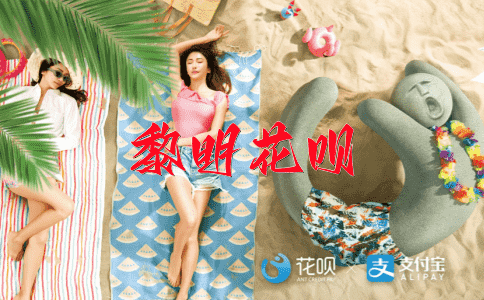 一言半语（指言辞并不多）花呗